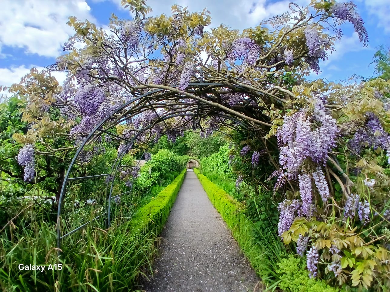 PORTUMNA